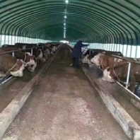 上海养殖大棚厂家电话食用菌大棚