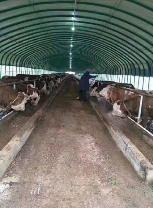 北京薄膜养殖大棚厂家食用菌温室大棚