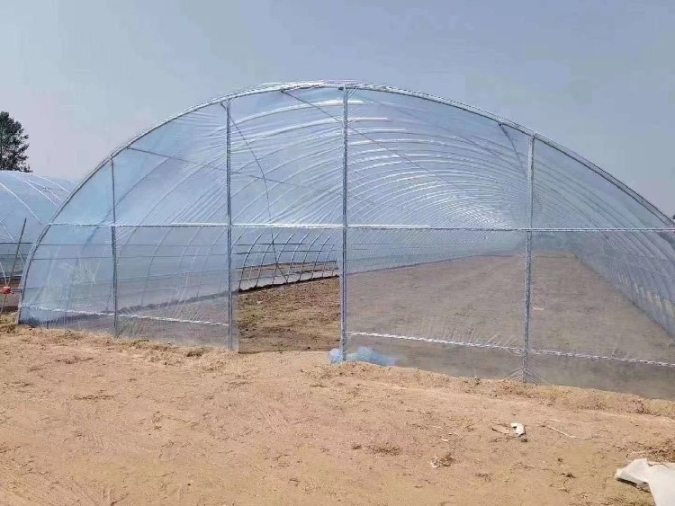 河南薄膜温室大棚效果图钢管温室大棚