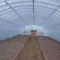 黑龙江钢管温室大棚搭建薄膜蔬菜大棚
