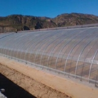 河北花梁式温室大棚搭建薄膜蔬菜大棚