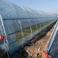 青海花梁式温室大棚搭建