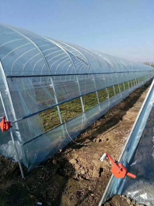 山西花梁式温室大棚价格