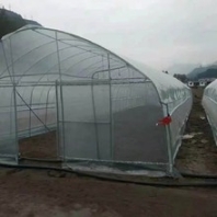 青海薄膜温室大棚厂家