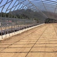 四川钢管温室大棚搭建