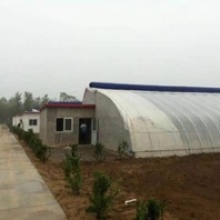 黑龙江钢管温室大棚搭建