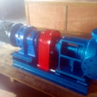 河北艾克厂家直销NYP转子泵