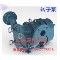 转子泵、泥浆泵、污水泵、环保专用泵、泊头晟华泵业、移动泵、凸轮泵