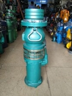 天晟清潜泵湛江从事污水泵报价