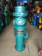 污水泵深圳从事污水泵供应商