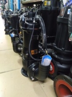 天晟清潜泵阳江污水泵供货商