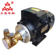 进口三相旋转叶片泵反渗透高压泵水泵油泵黄铜