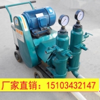 湛江池州市挤压泵