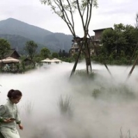 成都景美佳园林造景/喷雾造景/景观造雾工程