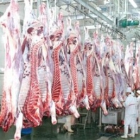 本公司拆除屠宰厂收购天津山西回收屠宰厂设备物资