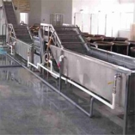 热销花椰菜气泡清洗机景翔牌多功能洗菜机果蔬清洗线