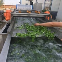 供应气泡式蔬菜清洗机果蔬清洗机图片景翔牌水果清洗机