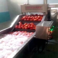 玉米气泡清洗机玉米加工清洗设备诸城景翔机械