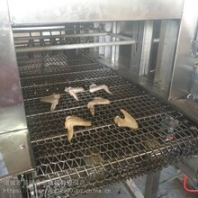 供应鸡翅网带式烧毛机鸡腿上下喷火烧毛机设备