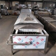 果蔬漂烫机蒸煮漂烫机厂家景翔牌PT-4000型蘑菇漂烫设备