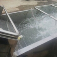 辣椒气泡清洗机青椒清洗风干机设备厂家