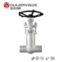 加氢精制装置高压闸阀PZ61Y