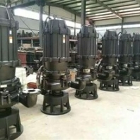 河北冀泵源图立式排污泵电机马鞍山排污泵