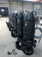 立式排污泵电机黑河排污泵河北冀泵源在线咨询