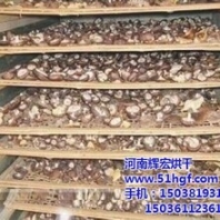 大型香菇烘干机,香菇烘干机,辉宏机械在线咨询