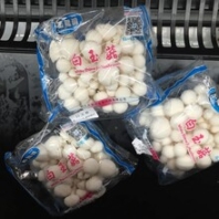 食用菇包装机磨菇包装机带托盒食用菇套袋机