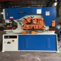 多功能联合冲剪机云南楚雄武定县160吨冲剪机