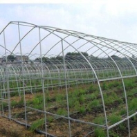 广州专业从事薄膜拱棚设计持久耐用