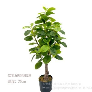 宁德98度电长续航纯电货车东风新能源货车分期销售