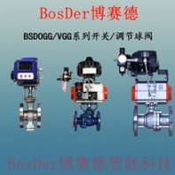 河北BSW850系列无线控制反馈器代理BSW650系列