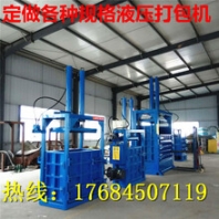 辽宁立式链条打包机双缸打包机价格