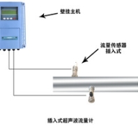 大连海峰TDS-100F1C插入式超声波流量计