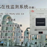 废气处理前后端VOC浓度在线气体分析仪厂家