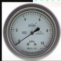 布莱迪不锈钢膜片压力表供应代理商YPF-160H