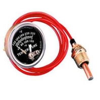 墨菲温度表EGS21T-250-24