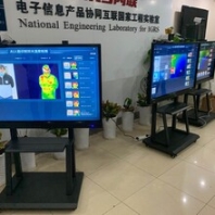 OWL-SMART机场测温预警系统,咸宁人脸识别测温系统厂家直销