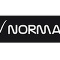 Normalab软化点仪温度探头40139