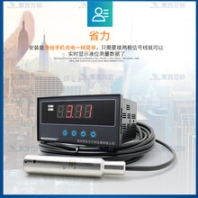 就地显示地下水位计WH311防雷水位测量仪