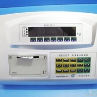 厂家直销洛阳贝尔东方XK3110-T称重显示器