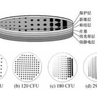 菌落计数器校准装置
