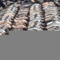 回收三元催化器-回收三元载体粉末-只需一个电话-免费上门