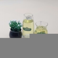 四川资阳乡镇小项目植物油燃料配方招商