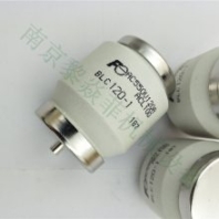 多型号 FUJI富士保险丝熔断器 断路器FNH-2-250