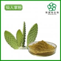 梨果仙人掌粉 厂家销售 喷雾干燥仙人掌速溶粉